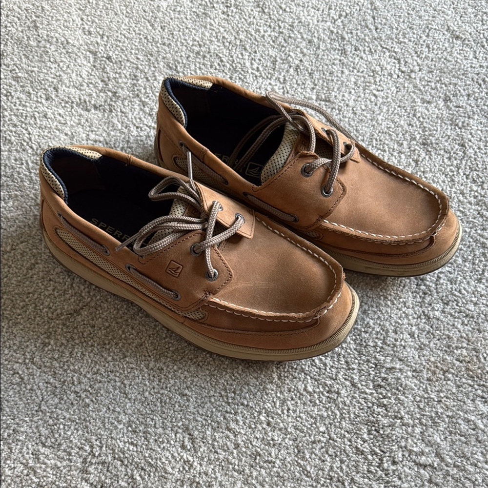 Sperry Men's Brown Boat Shoes